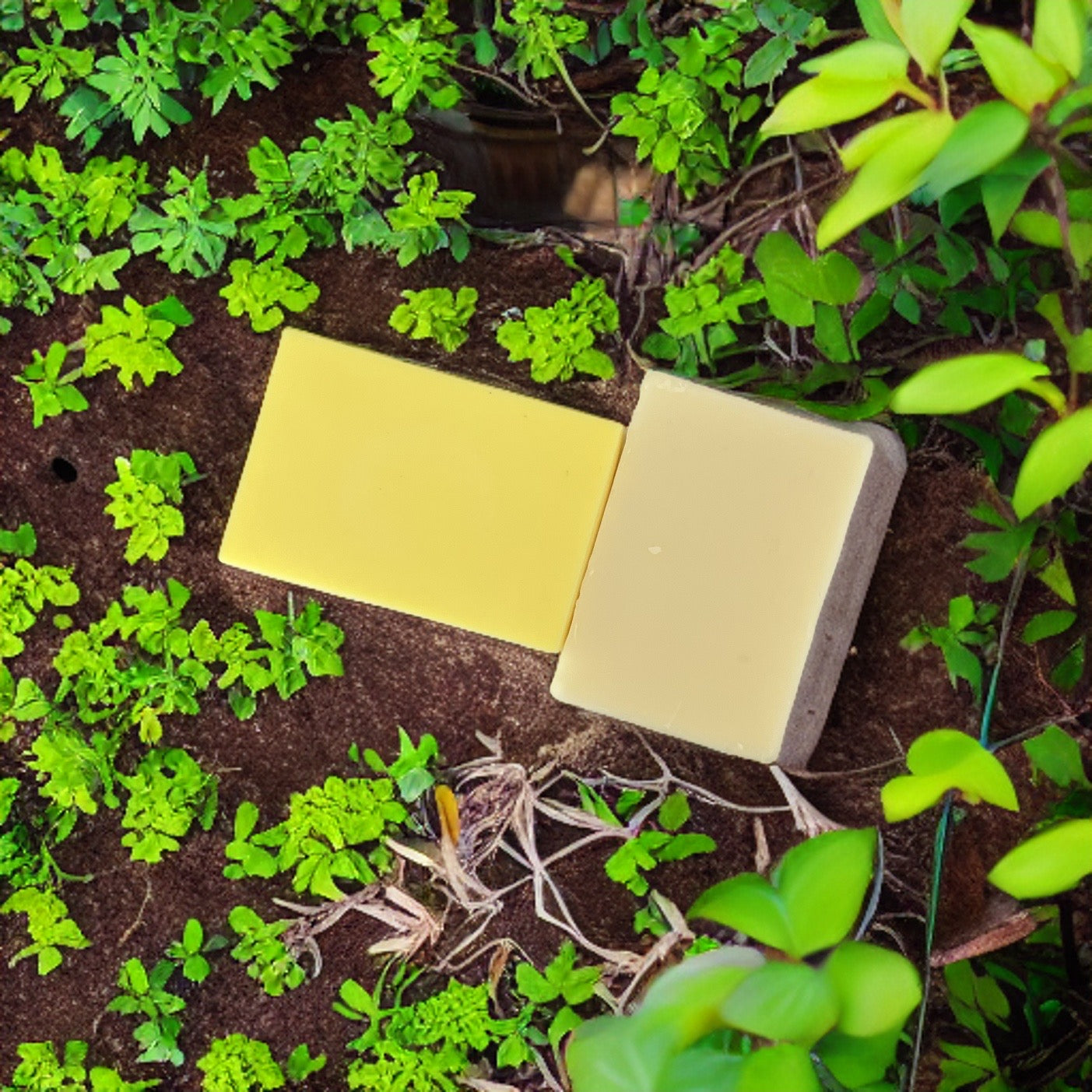 Pineapple Shampoo & Conditioner Bars