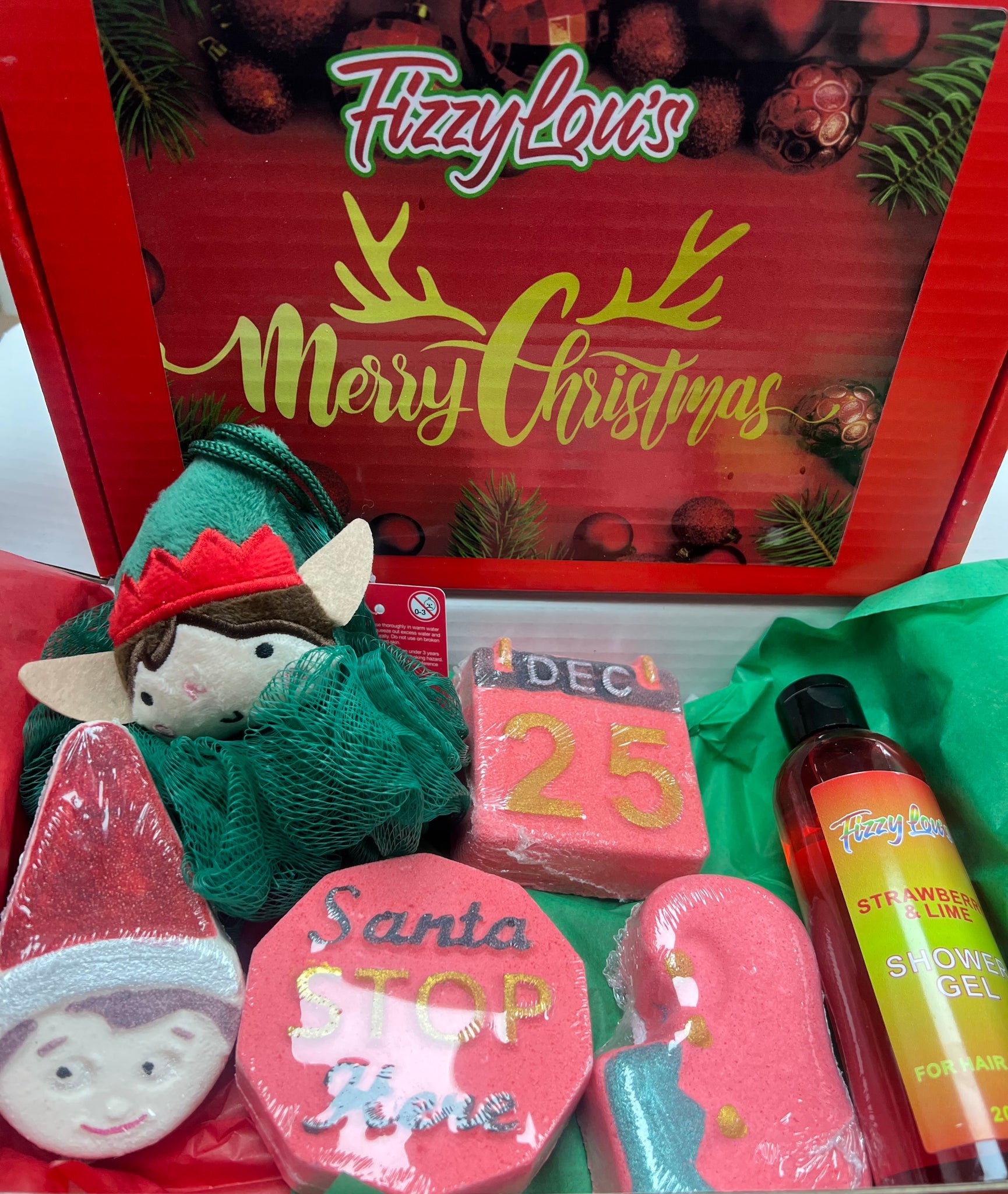 Christmas 2025 Collection